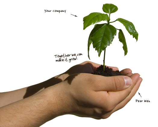 Web design services
